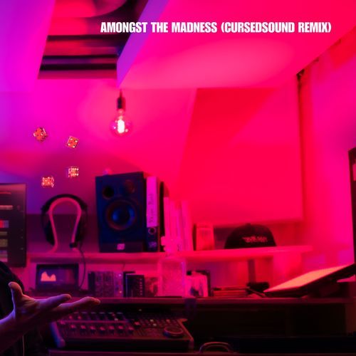 Amongst the Madness (Cursedsound Remix) cover art