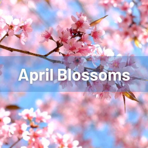 April Blossoms