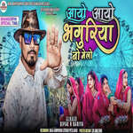 Ayo Ayo Bhnguroiya No Melo