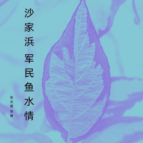 沙家浜 军民鱼水情 (眉户) cover art