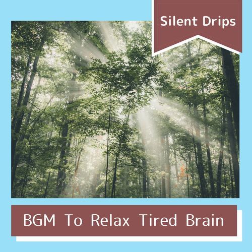 Silent Reflections on the Water cover art