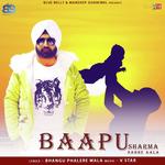 Baapu