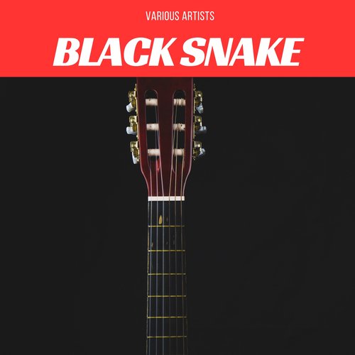 Black Snake