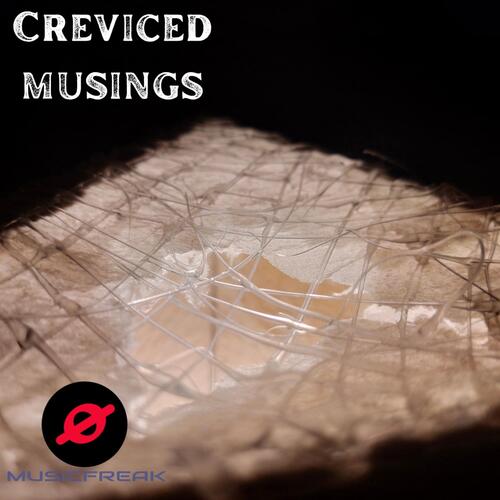 Creviced Musings_poster_image