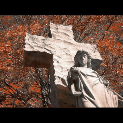 Droog cover art