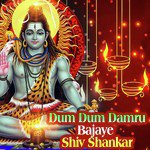 Dum Dum Damru Bajaye Shiv Shankar