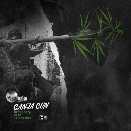 GANJA GUN_poster_image