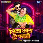 Jila Ara Hare Pagali