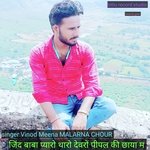 Jind baba pyaro tharo devro pipal ki chaya m (MEENA GEET)