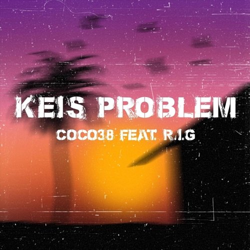 Keis Problem (feat. R.I.G.) cover art