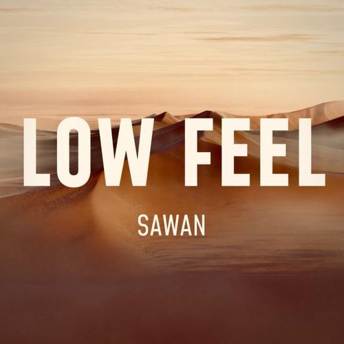 LOW FEEL