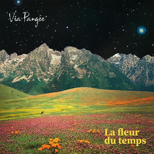 La fleur du temps_poster_image