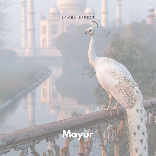Mayur cover art