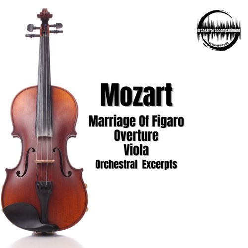 Viola cover art