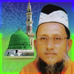 Murshid Namer Tori-RCUlCRV7TX4