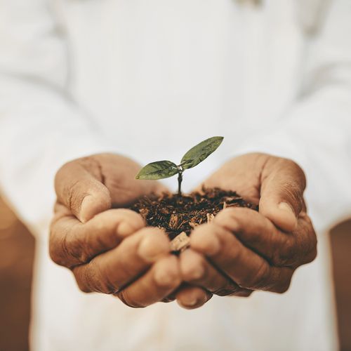Knight cover art