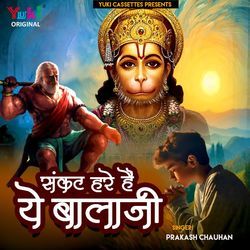 Sankat Hare Hain Ye Balaji-MjBYVyN2TVQ