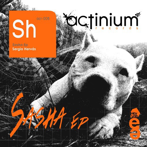 Sasha cover art