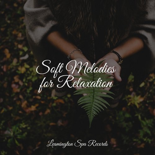 Lazy Morning cover art