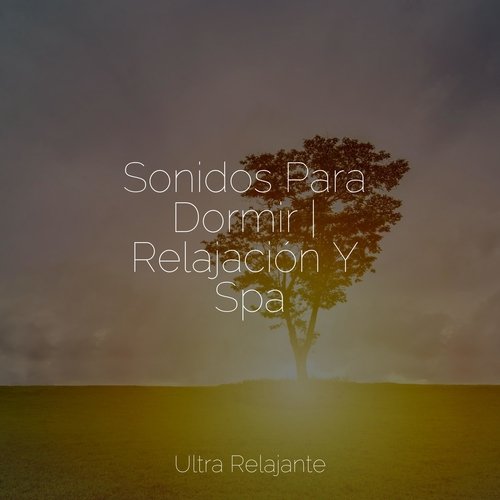 Sonidos Para Dormir | Relajación Y Spa