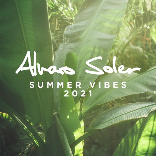 Summer Vibes 2021_poster_image