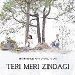 Teri Meri Zindagi