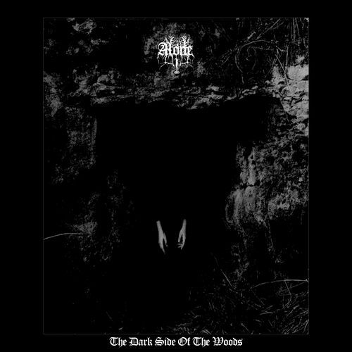 The Dark Side Of The Woods