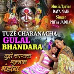 Tuze Charanacha Gulal Bhandara