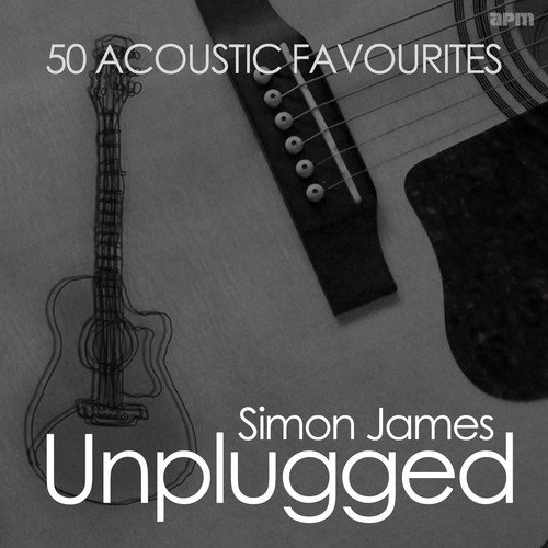 Unplugged - 50 Acoustic Favourites