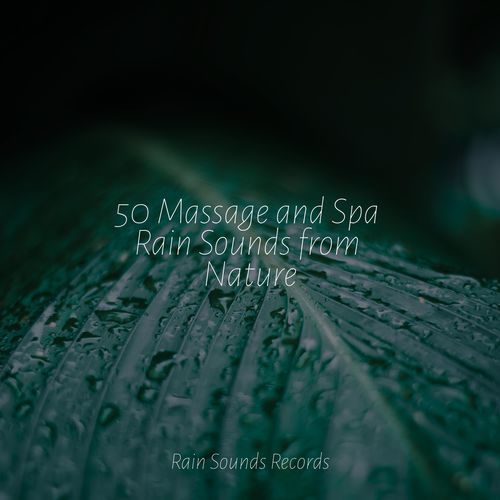 50 Massage and Spa Rain Sounds from Nature