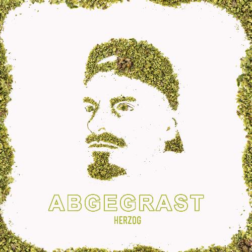 Abgegrast_poster_image