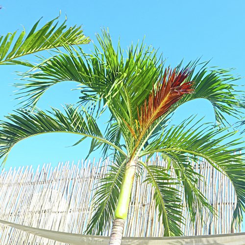 Spiral Motion cover art