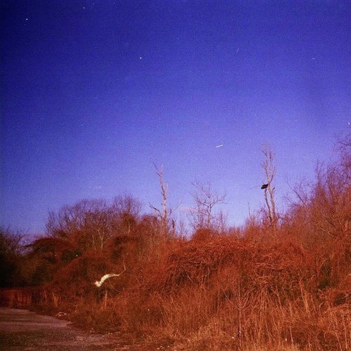 Collective cover art