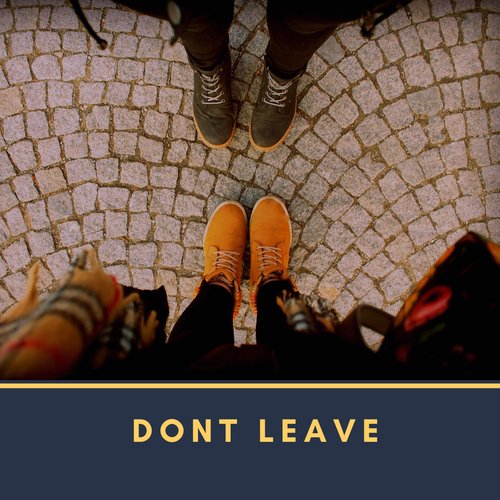 Dont Leave (feat. Valious)_poster_image