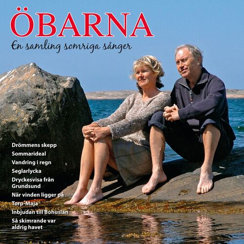 Torget cover art