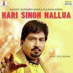 Hari Singh Jarnail Te Shami Khan artwork