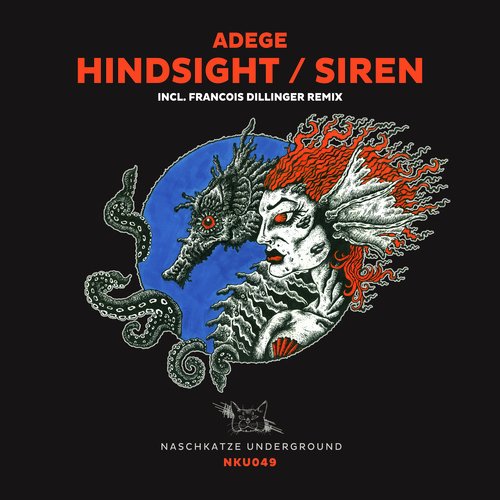 Hindsight (Francois Dillinger Remix) cover art