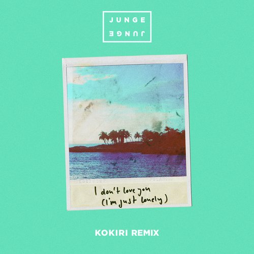 I Don&#039;t Love You (I&#039;m Just Lonely) (Kokiri Remix)_poster_image