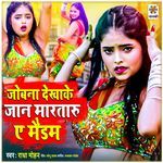 Jobana Dekhake Jan Marataru A Maidam