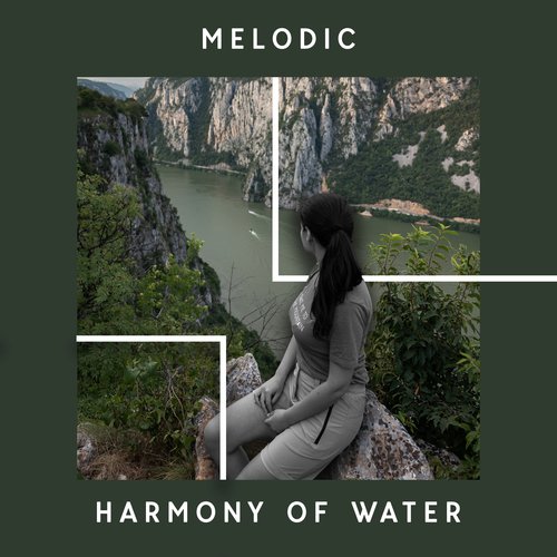 Melodic Harmony of Water: Inner Tranquility, Slow Down, Inner Bliss_poster_image