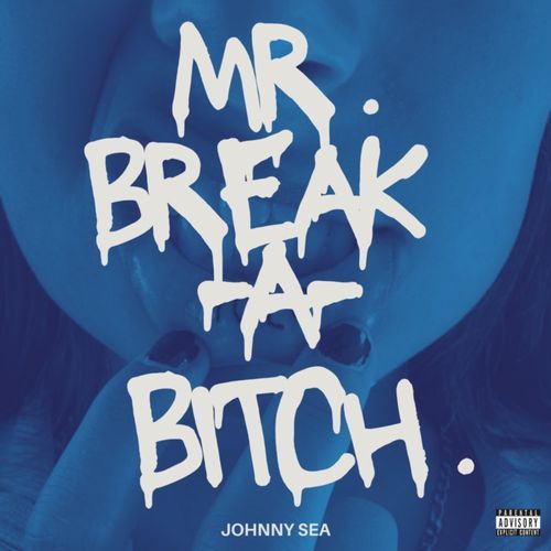 Mr Break A Bitch cover art