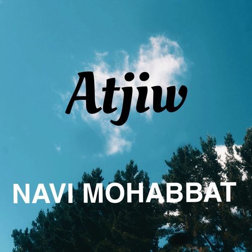 Navi Mohabbat