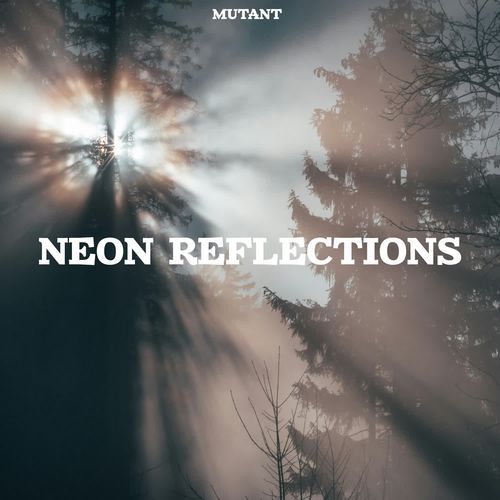 Neon Reflections