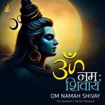 Om Namah Shivay