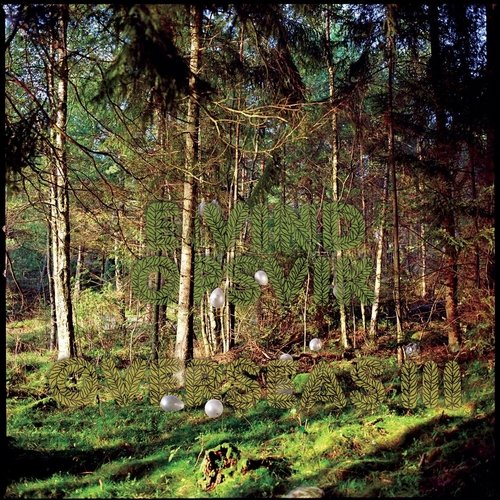 Neil cover art