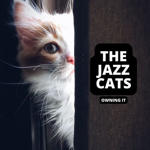 You Cant Blame This On The Dog!