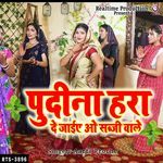 Pudina Hara De Jaiye O Sabji Aale