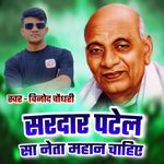 Sardar Patel Sa Neta Mahan Chahiye