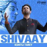 Shivaay - Rudrashtakam