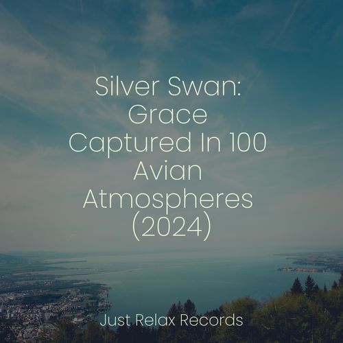 Silver Swan: Grace Captured In 100 Avian Atmospheres (2024)